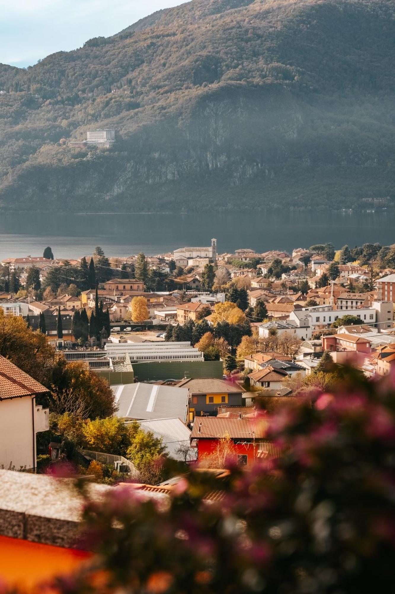 Larius Apartment - Como Lake View Mandello del Lario Exteriör bild